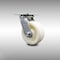 Service Caster 5 Inch Stainless Steel Nylon Wheel Swivel Caster with Roller Bearing SCC SCC-SS30S520-NYR - alternate 1